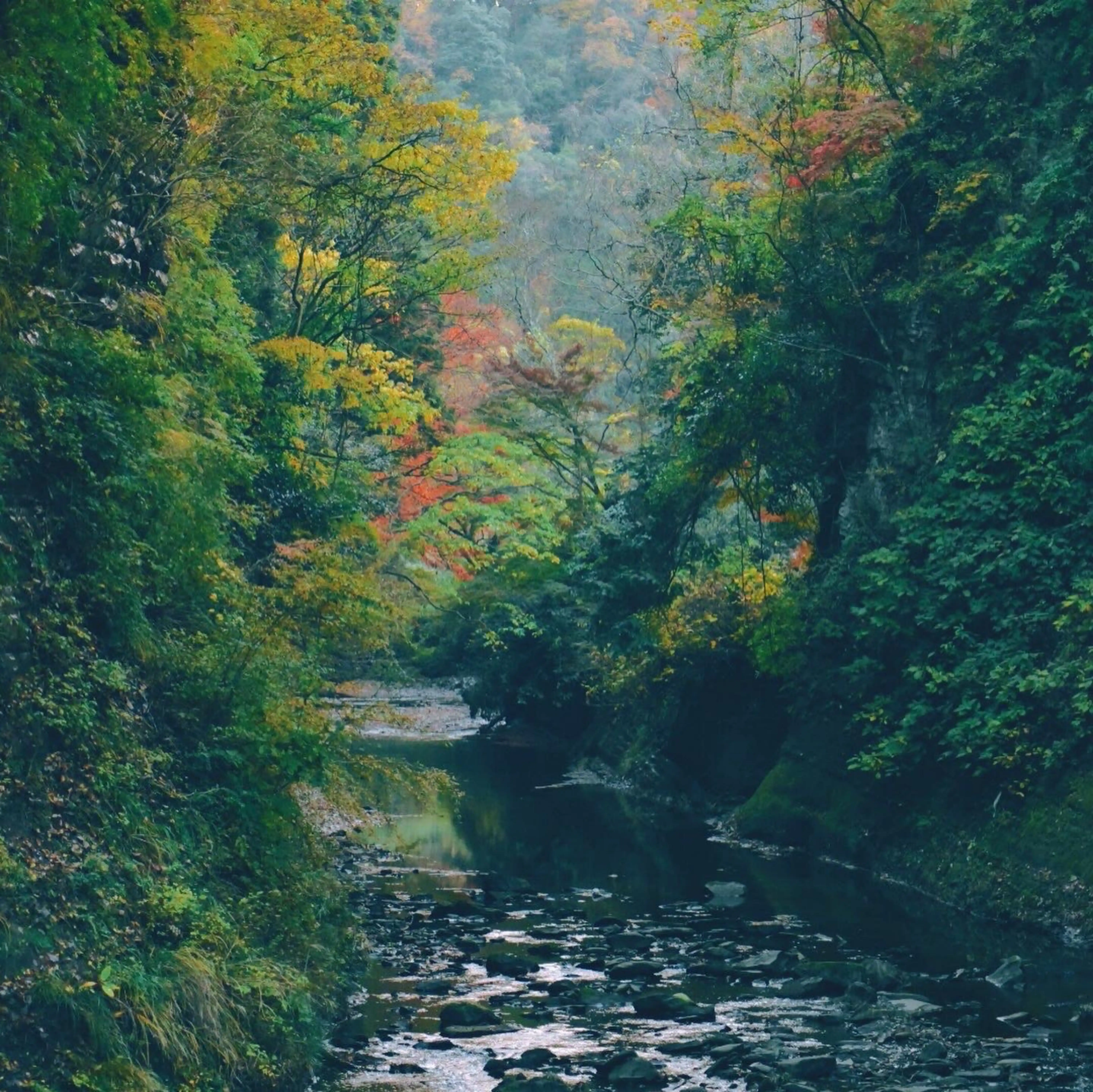 レタッチサービス